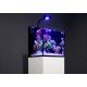 Max Nano-75 Litros. Complete Reef System y Kit - Blanco