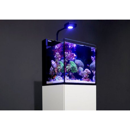 Max Nano-75 Litros. Complete Reef System y Kit - Blanco