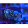 FORMOSA BLUE SPACE