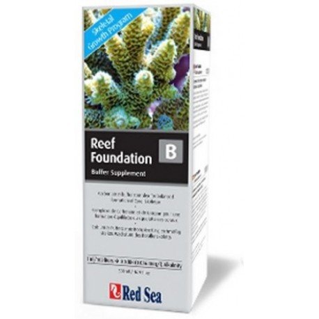 Reef Foundation B