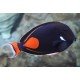 ACANTHURUS ACHILLES S