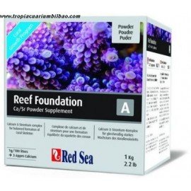 REEF FOUNDATION A - RED SEA
